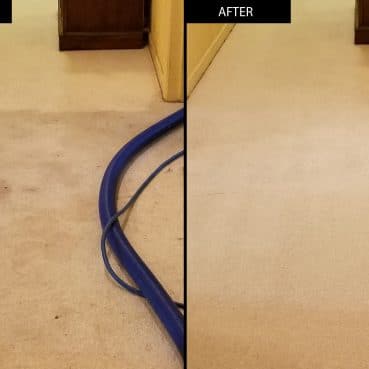 Carpet cleaning before and after results by Sonoma County Carpet Care