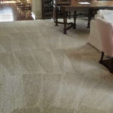 Residential carpet cleaning job example in Santa Rosa, CA by Sonoma County Carpet Care