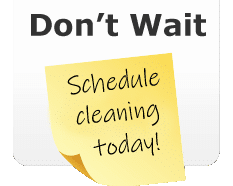 Schedule carpet cleaning service.